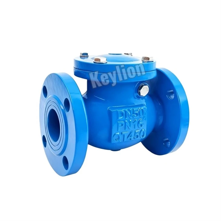3 Inch Flanged Check Valve