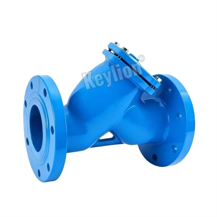 Y Type Strainer Valve